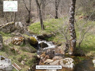 EL ARROYO BARRANCÓN
 