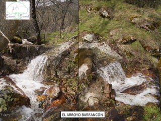 EL ARROYO BARRANCÓN
 