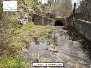 EL ARROYO DE BARRANQUILLA
 