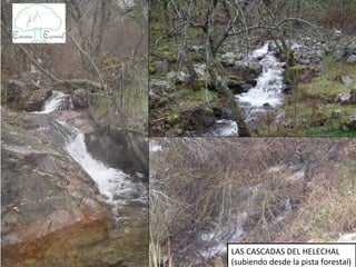 LAS CASCADAS DEL ROMERAL
(subiendo desde la pista forestal)
 