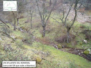 UN AFLUENTE DEL ROMERAL
(cerca del GR que sube a Abantos)
 