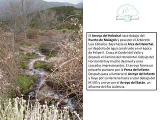 El Arroyo del Helechal nace debajo del
Puerto de Malagón y pasa por el Arboreto
Luis Ceballos. Baja hasta el Arca del
Helechal, un depósito de agua construido en
el época de Felipe II. Cruza el Cordel del Valle
y después el Camino del Horizontal. Debajo
del Horizontal hay mucho desnivel y unas
cascadas impresionantes. El arroyo forma un
pequeño pantano por la Presa del Infante.
Después pasa a llamarse el Arroyo del Infante
y fluye por La Herrería hasta cruzar debajo del
M 505 y unirse con el Arroyo del Batán, un
afluente del Rio Aulencia.
 