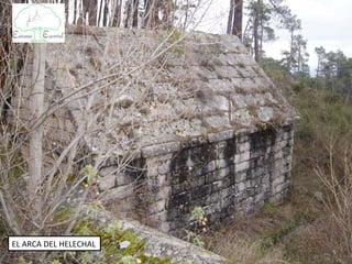 EL ARCA DEL HELECHAL
 
