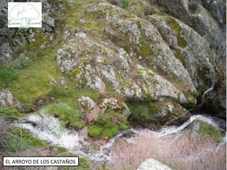 EL ARROYO DE LOS CASTAÑOS
 