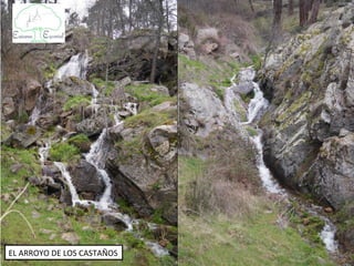 EL ARROYO DE LOS CASTAÑOS
 