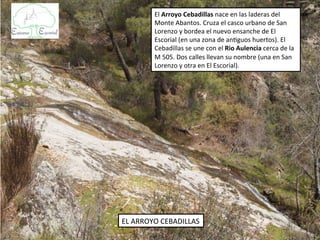 El Arroyo Cebadillas nace en las laderas del
        Monte Abantos. Cruza el casco urbano de San
        Lorenzo y bordea el nuevo ensanche de El
        Escorial (en una zona de antiguos huertos). El
        Cebadillas se une con el Rio Aulencia cerca de la
        M 505. Dos calles llevan su nombre (una en San
        Lorenzo y otra en El Escorial).




EL ARROYO CEBADILLAS
 