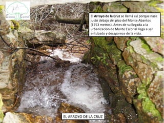 El Arroyo de la Cruz se llamá así porque nace
              justo debajo del pico del Monte Abantos
              (1753 metros) donde hay una cruz. Antes de
              su llegada a la urbanización de Monte Escorial
              llega a ser entubado y desaparece de la vista.




EL ARROYO DE LA CRUZ
 