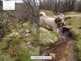 EL ARROYO DE LA CRUZ
 