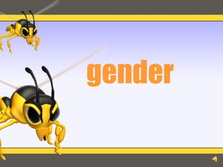 gender
 