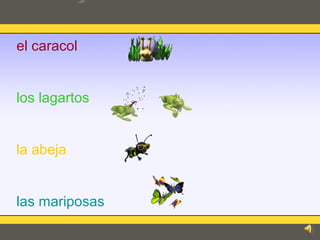 el caracol
los lagartos
la abeja
las mariposas
 