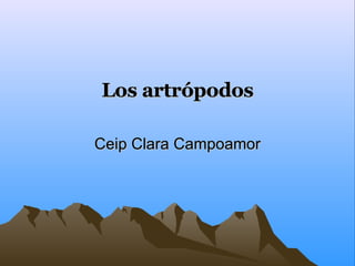 Los artrópodos Ceip Clara Campoamor 