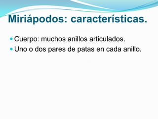 Miriápodos: características.
 Cuerpo: muchos anillos articulados.
 Uno o dos pares de patas en cada anillo.

 