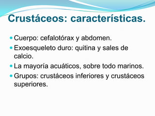 Crustáceos: características.
 Cuerpo: cefalotórax y abdomen.
 Exoesqueleto duro: quitina y sales de

calcio.
 La mayoría acuáticos, sobre todo marinos.
 Grupos: crustáceos inferiores y crustáceos
superiores.

 