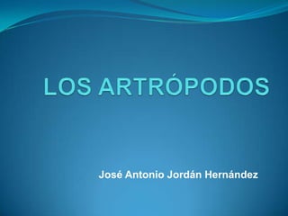 José Antonio Jordán Hernández

 