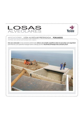 423
45 
                                             2 62 