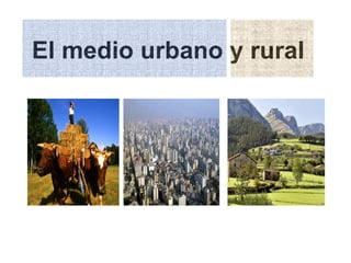 El medio urbano y rural   