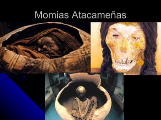 Momias Atacameñas 