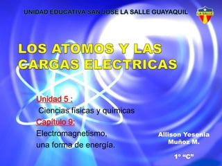 Unidad 5 :
Ciencias físicas y químicas
Capítulo 9:
Electromagnetismo,            Allison Yesenia
                                 Muñoz M.
una forma de energía.
                                  1º “C”
 