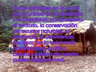 Todos coinciden en la lucha
por la unidad en la diferencia
o la diversidad, por el respeto,
el territorio, la conservación
de recursos naturales, la
tolerancia, la convivencia
pacífica; por la autonomía
administrativa, política,
cultural y jurídica de nuestro
pueblo indígena Awá.
 