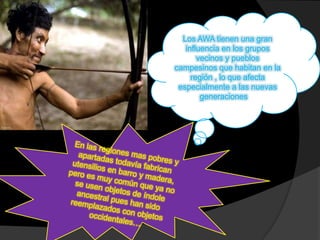 Los AWA tienen una gran
   influencia en los grupos
       vecinos y pueblos
campesinos que habitan en la
     región , lo que afecta
 especialmente a las nuevas
        generaciones…
 