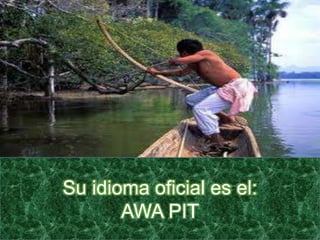 Su idioma oficial es el:
       AWA PIT
 