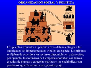 ORGANIZACIÓN SOCIAL Y POLÍTICA




Los pueblos reducidos al poderío azteca debían entregar a las
autoridades del imperio pesados tributos en especie. Los tributos
se fijaban de acuerdo a los recursos disponibles en cada región;
por ejemplo, los totonacas de Cempoala aportaban con lanzas,
escudos de plumas y caracoles marinos y los xochimilcas con
productos agrícolas como maíz, porotos y ají.
 