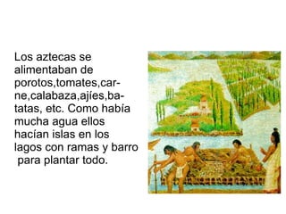 Los aztecas se alimentaban de porotos,tomates,car-ne,calabaza,ajíes,ba-tatas, etc. Como había mucha agua ellos hacían islas en los lagos con ramas y barro  para plantar todo.  