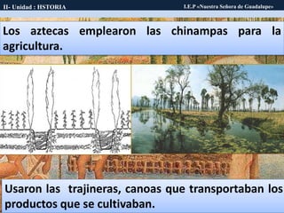 Los aztecas emplearon las chinampas para la
agricultura.
Usaron las trajineras, canoas que transportaban los
productos que se cultivaban.
II- Unidad : HSTORIA I.E.P «Nuestra Señora de Guadalupe»
 