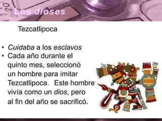 Los dioses
Tezcatlipoca
• Cuidaba a los esclavos
• Cada año durante el
quinto mes, seleccionó
un hombre para imitar
Tezcatlipoca. Este hombre
vivía como un dios, pero
al fin del año se sacrificó.
 