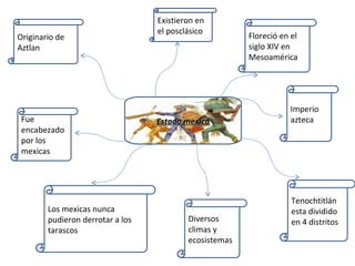 Estado mexica Floreció en el siglo XIV en Mesoamérica Imperio azteca Tenochtitlán esta dividido en 4 distritos Diversos climas y ecosistemas Los mexicas nunca pudieron derrotar a los tarascos Fue encabezado por los mexicas Originario de Aztlan Existieron en el posclásico  