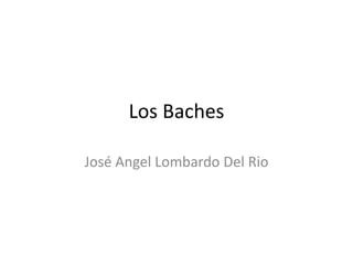 Los Baches

José Angel Lombardo Del Rio
 