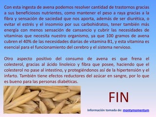 Con esta ingesta de avena podemos resolver cantidad de trastornos gracias
a sus beneficiosos nutrientes, como mantener el peso a raya gracias a la
fibra y sensación de saciedad que nos aporta, además de ser diurética, o
evitar el estrés y el insomnio por sus carbohidratos, tener también más
energía con menos sensación de cansancio y cubrir las necesidades de
vitaminas que necesita nuestro organismo, ya que 100 gramos de avena
cubren el 40% de las necesidades diarias de vitamina B1, y esta vitamina es
esencial para el funcionamiento del cerebro y el sistema nervioso.
Otro aspecto positivo del consumo de avena es que frena el
colesterol, gracias al ácido linoleico y fibra que posee, haciendo que el
colesterol no pase al intestino, y protegiéndonos así de la hipertensión y el
infarto. También tiene efectos reductores del azúcar en sangre, por lo que
es bueno para las personas diabéticas.
FIN
Información tomada de: montymomentum
 