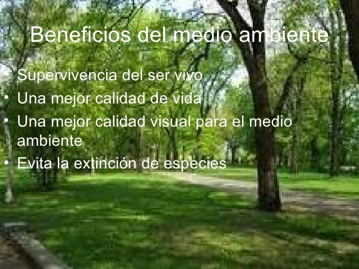 Hidropona Wikipedia La Enciclopedia Libre