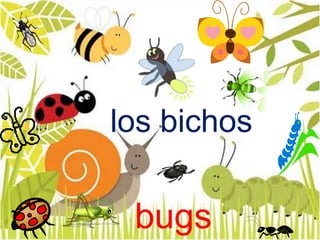 los bichos
bugs
 