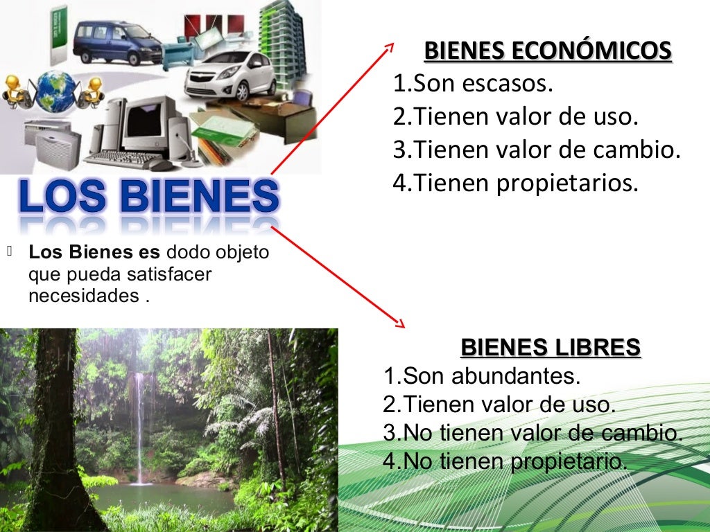Los bienes