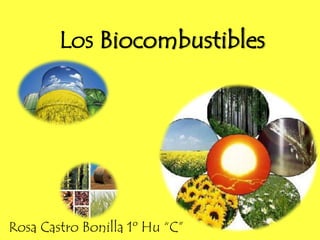 Los Biocombustibles Rosa Castro Bonilla 1º Hu “C” 