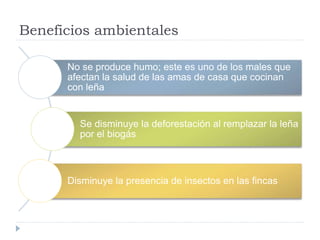 Beneficios ambientales 
No se produce humo; este es uno de los males que 
afectan la salud de las amas de casa que cocinan 
con leña 
Se disminuye la deforestación al remplazar la leña 
por el biogás 
Disminuye la presencia de insectos en las fincas 
 