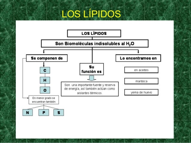 Resultado de imagen para bioelementos lipidos