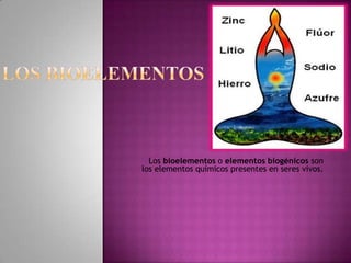 Los bioelementos o elementos biogénicos son
los elementos químicos presentes en seres vivos.
 