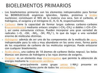  Los bioelementos primarios son los elementos indispensables para formar
las BIOMOLECULAS orgánicas (glúcidos, lípidos, proteínas y ácidos
nucleicos); constituyen el 96% de la materia viva seca. Son el carbono, el
hidrógeno, el oxígeno y el nitrógeno (C, H, O, N, respectivamente).
 Carbono: tiene la capacidad de formar largas cadenas carbono-carbono
(macromoléculas) mediante enlaces simples (-CH2-CH2) o dobles (-CH=CH-
), así como estructuras cíclicas. Pueden incorporar una gran variedad de
radicales (=O, -OH, -NH2, -SH, PO4
3-), lo que da lugar a una variedad
enorme de moléculas distintas.
 Hidrógeno: además de ser uno de los componentes de la molécula de agua,
indispensable para la vida y muy abundante en los seres vivos, forma parte
de los esqueletos de carbono de las moléculas orgánicas. Puede enlazarse
con cualquier bioelemento.
 Ácido oleico, una cadena de 18 átomos de carbono (bolas negras); las bolas
blancas son átomos de hidrógeno y las rojas àtomos de oxígeno.
 Oxígeno: es un elemento muy electronegativo que permite la obtención de
energía mediante la respiración aeróbica.
 Nitrógeno: principalmente como grupo amino (-NH2) presente en
las proteínas ya que forma parte de todos los aminoácidos.
 
