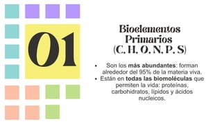 Chonps Bioelementos Comprehensive Overview of Bioelements: Classification, Functions, and ...