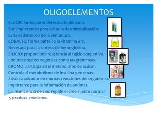 OLIGOELEMENTOS
FLUOR: forma parte del esmalte dentario.
Son importantes para evitar la desmineralización.
Evita el deterioro de la dentadura.
COBALTO: forma parte de la vitamina B12.
Necesaria para la síntesis de hemoglobina.
SILICIO: proporciona resistencia al tejido conjuntivo.
Endurece tejidos vegetales como las gramíneas.
CROMO: participa en el metabolismo de azúcar.
Controla el metabolismo de insulina y enzimas.
ZINC: catalizador en muchas reacciones del organismo.
Importante para la información de encimas.
La insuficiencia de zinc impide el crecimiento normal
y produce enanismo.

 