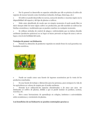  Por lo general se desarrolla en espacios reducidos por ello se prioriza el cultivo de
especies de menor tamaño como hortalizas (rabanito, lechuga, betarraga, etc.)
 El cultivo se puede desarrollar en surcos, camas de siembra o macetas según sea la
disponibilidad del espacio y del tipo de plantas a cultivar.
 Debe estar planificado de modo que en ningún momento el suelo quede libre es
decir siempre debe de tener algún cultivo en producción, por ello también se cultivan las
hierbas aromáticas y medicinales que se pueden cosechar en cualquier momento.
 Se utilizan métodos de control de plagas y enfermedades que no dañan elmedio
ambiente (productos químicos) en su lugar se busca prevenir en lugar de curar y esto se
logra a través de fertilidad del suelo.
Ventajas de poseer un biohuerto
 Permite la obtención de productos vegetales en estado fresco lo cual garantiza sus
bondades nutritivas.
 Puede ser usado como una fuente de ingresos económicos por la venta de los
productos cosechados.
 Es una fuente de trabajo y distracción para las personas, pues enriquece la vida de
los agricultores en valores de respeto por el medio ambiente.
 Permite la re utilización de espacios abandonados o de poco uso para ser
destinados al cultivo de plantas, debido a que se puede instalar en jardines, azoteas,
macetas, etc.
 Sirve como herramienta de aprendizaje en colegios, institutos o universidades
sobre ecosistemas y crecimiento de plantas.
Los beneficios de un biohuerto se pueden contemplar gracias a:
 