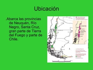 Ubicación .Abarca las provincias de Neuquén, Río Negro, Santa Cruz, gran parte de Tierra del Fuego y parte de Chile.