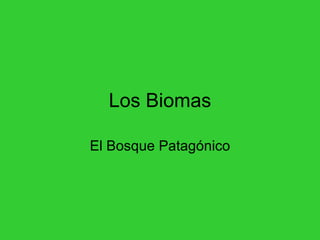 Los Biomas El Bosque Patagónico 