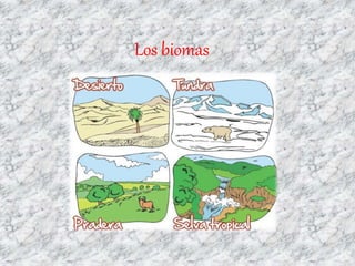 Los biomas
 