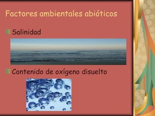 Factores ambientales abióticos

 Salinidad




 Contenido de oxígeno disuelto
 