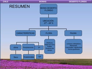 CHILE                               BIOMAS                        DESIERTO FLORIDO


        RESUMEN                         BIOMA DESIERTO
                                            FLORIDO




                                          UBICACIÓN:
                                           27º - 29º S




            CARACTERÍSTICAS                  FLORA                 FAUNA



                                              Añañuca,
                                                              curiosos coleópteros
                                            Patas de zorro
                                                                   Mariposas.
                                               Huilles,
         clima   Precipitaciones   Tº        Suspiros de
                                                             <cernícalos <aguiluchos
                                                                Zorros,guanacos
                                               campo



         Seco    Ocasionales       15º
 