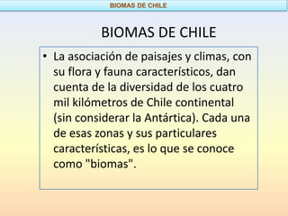 BIOMAS DE CHILE



           BIOMAS DE CHILE
• La asociación de paisajes y climas, con
  su flora y fauna característicos, dan
  cuenta de la diversidad de los cuatro
  mil kilómetros de Chile continental
  (sin considerar la Antártica). Cada una
  de esas zonas y sus particulares
  características, es lo que se conoce
  como "biomas".
 