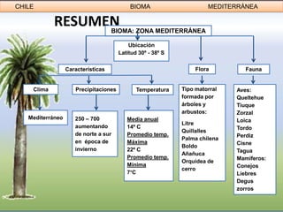 CHILE                                      BIOMA                      MEDITERRÁNEA

            RESUMEN                 BIOMA: ZONA MEDITERRÁNEA

                                           Ubicación
                                       Latitud 30º - 38º S


                  Características                                 Flora         Fauna


    Clima            Precipitaciones          Temperatura    Tipo matorral   Aves:
                                                             formada por     Queltehue
                                                             árboles y       Tiuque
                                                             arbustos:       Zorzal
   Mediterráneo      250 – 700            Media anual                        Loica
                                                             Litre
                     aumentando           14º C                              Tordo
                                                             Quillalles
                     de norte a sur       Promedio temp.                     Perdiz
                                                             Palma chilena
                     en época de          Máxima                             Cisne
                                                             Boldo
                     invierno             22º C                              Tagua
                                                             Añañuca
                                          Promedio temp.                     Mamíferos:
                                                             Orquídea de
                                          Mínima                             Conejos
                                                             cerro
                                          7°C                                Liebres
                                                                             Degus
                                                                             zorros
 